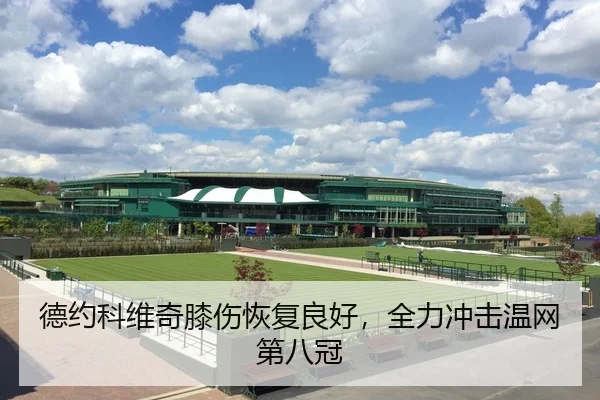 德约科维奇膝伤恢复良好，全力冲击温网第八冠
