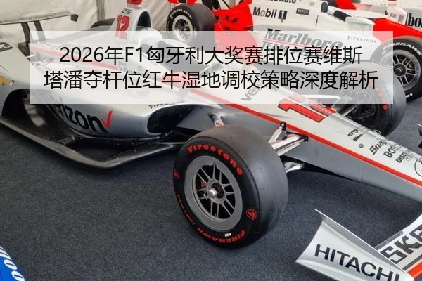 nian-xiong-ya-li-da-jiang-sai-pai-wei-sai-wei-si-ta-pan-duo-gan-wei-hong-niu-shi-di-diao-xiao-ce-lve-shen-du-jie-xi-3-961.jpg