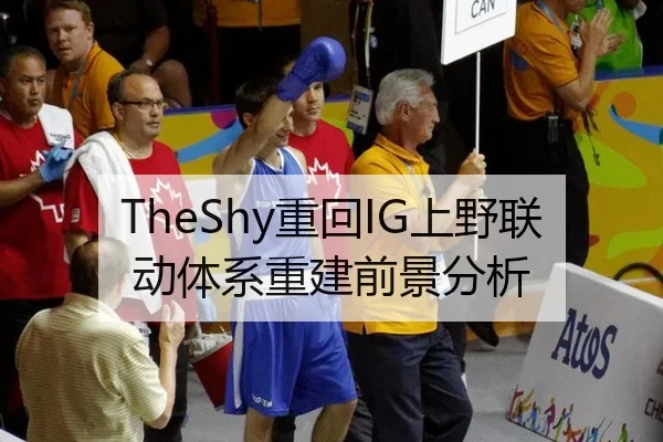 TheShy重回IG上野联动体系重建前景分析